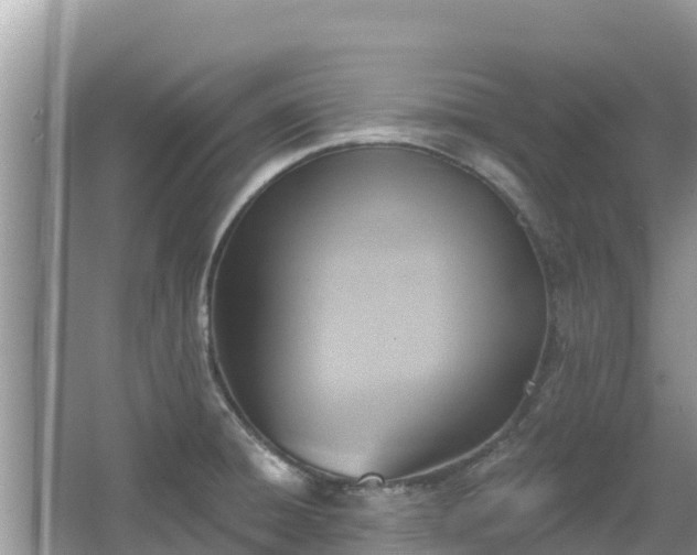 X0000067491428200604101243