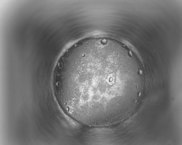 X0000067491429200604101243