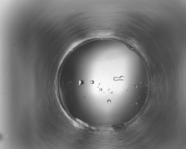 X0000067491432200604101243