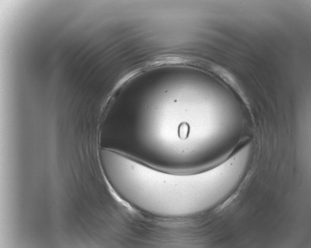 X0000067491433200604101243