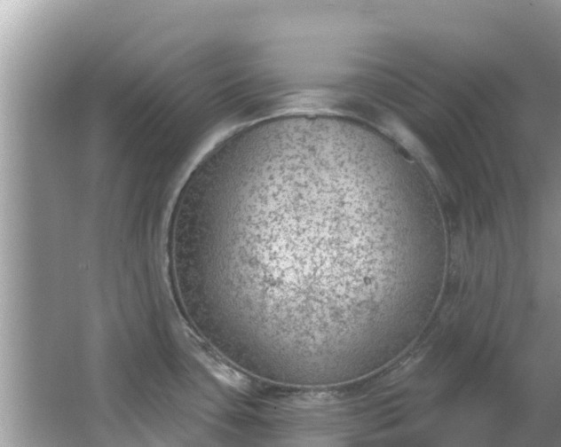 X0000067491435200604101243