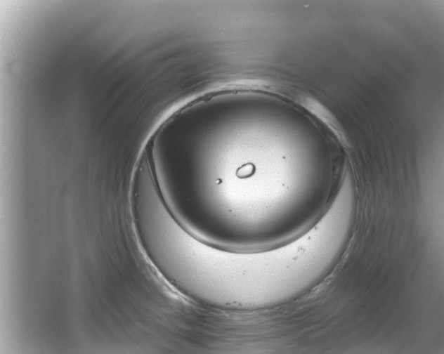 X0000067491436200604101244