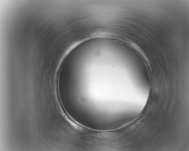 X0000067491437200604101244