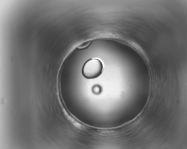 X0000067491439200604101244