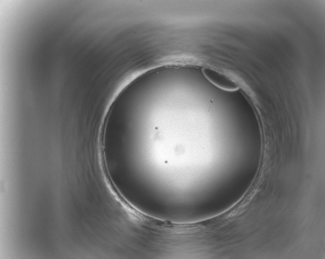 X0000067491440200604101244