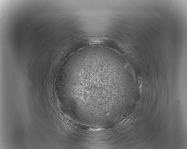 X0000067491441200604101243