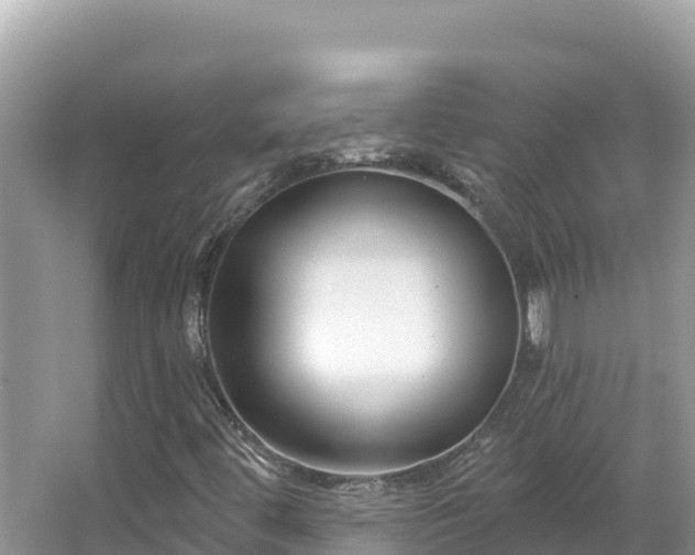 X0000067491444200604101243