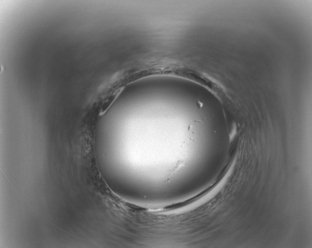 X0000067491447200604101243