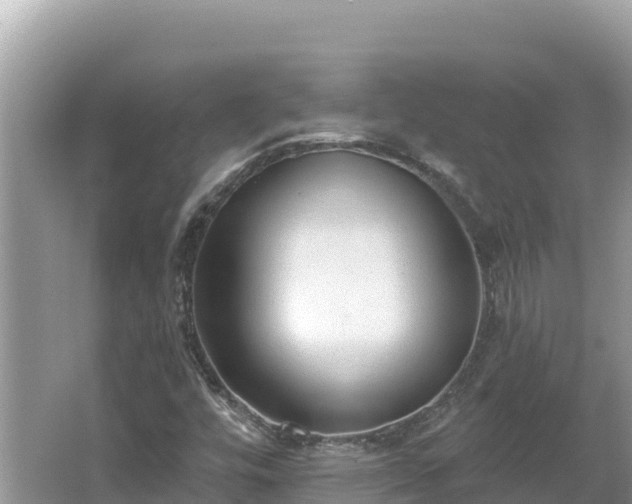 X0000067491448200604101243