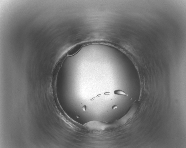 X0000067491452200604101243