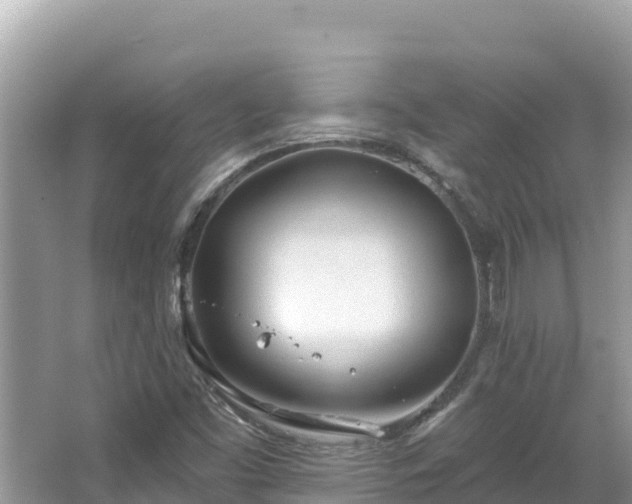 X0000067491453200604101243