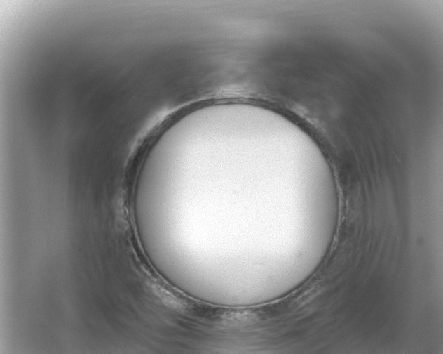 X0000067491454200604101243