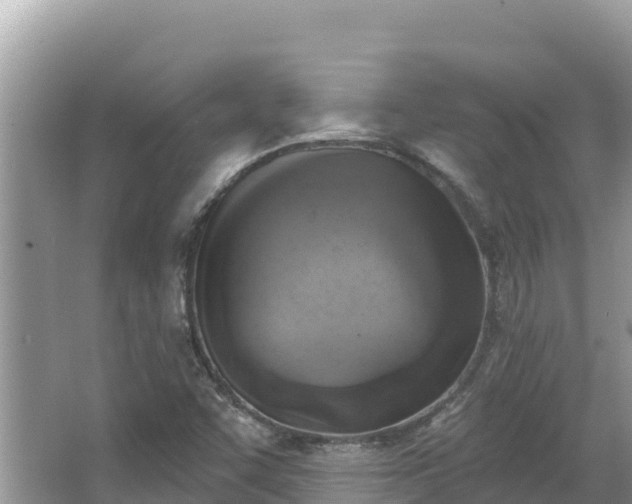 X0000067491455200604101243