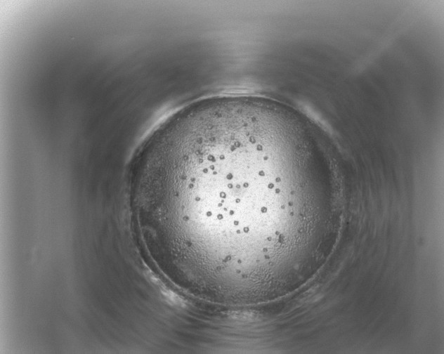 X0000067491456200604101243