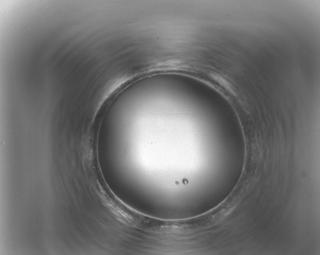 X0000067491458200604101242