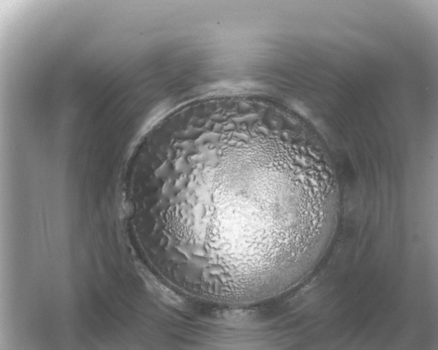 X0000067491459200604101242