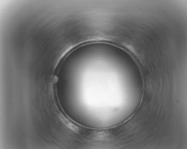 X0000067491460200604101242