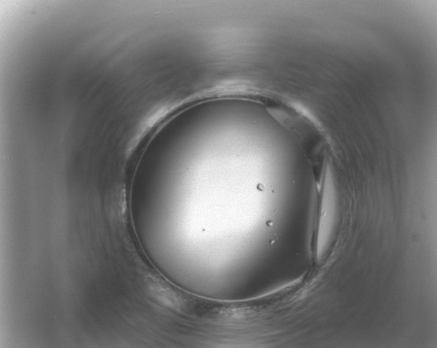 X0000067491461200604101242