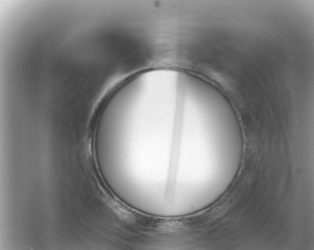 X0000067491462200604101242