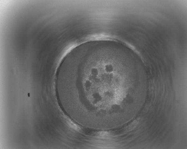 X0000067491463200604101242