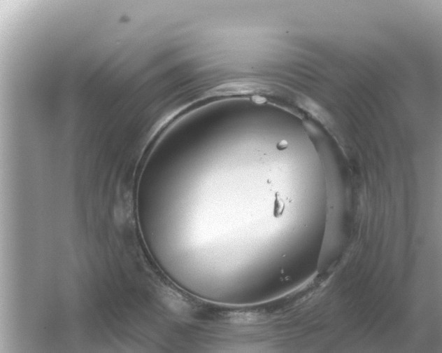 X0000067491465200604101242