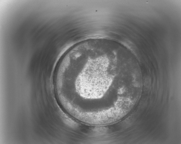 X0000067491466200604101242