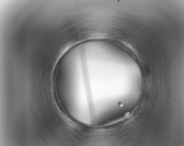 X0000067491467200604101242