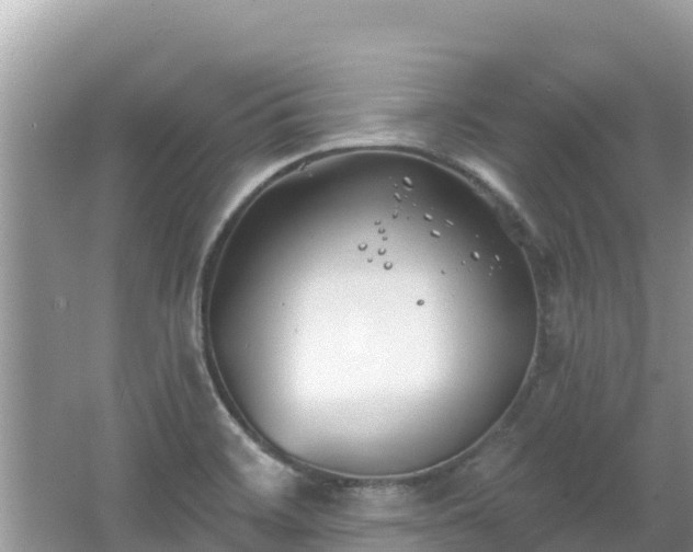 X0000067491468200604101242