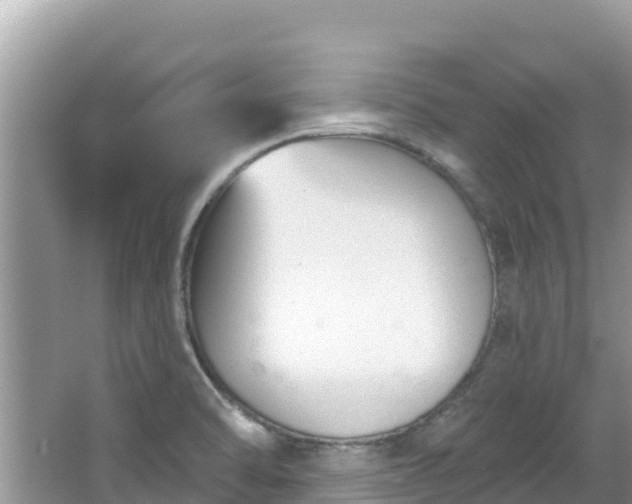 X0000067491470200604101242