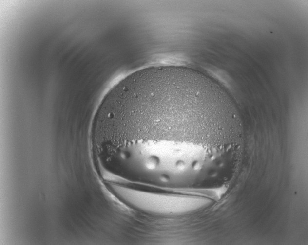 X0000067491471200604101242