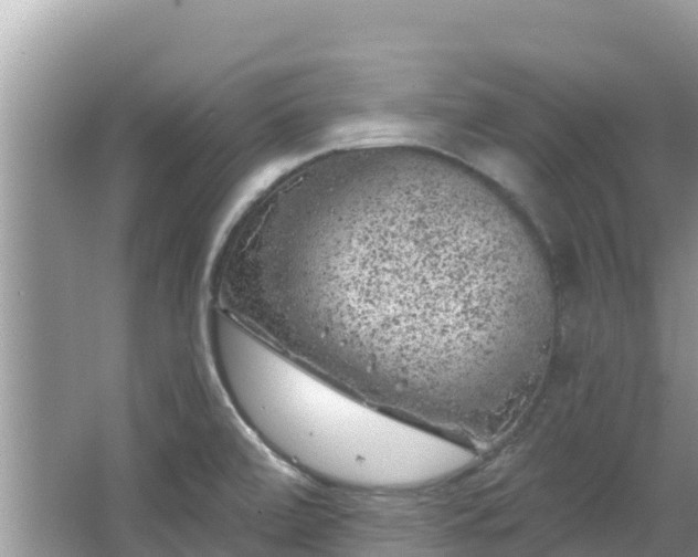 X0000067491472200604101242