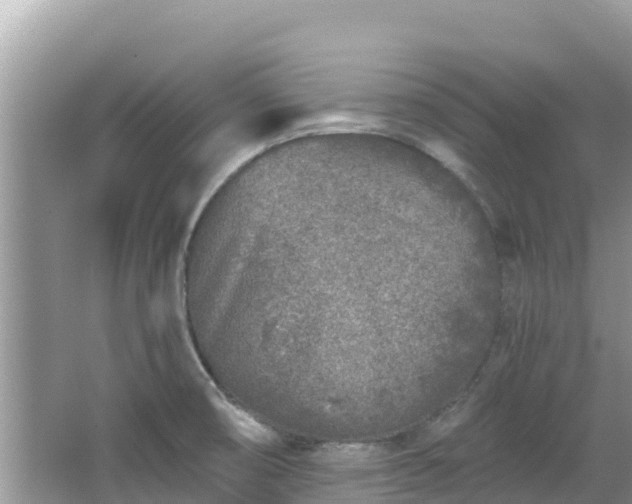 X0000067491474200604101242