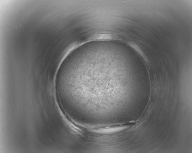 X0000067491475200604101242