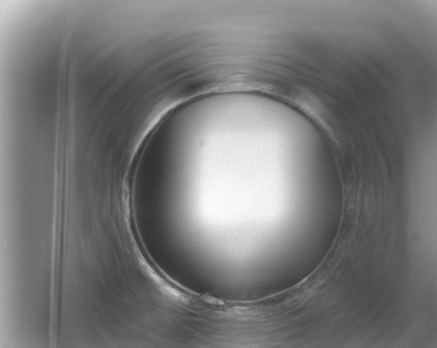 X0000067491476200604101242