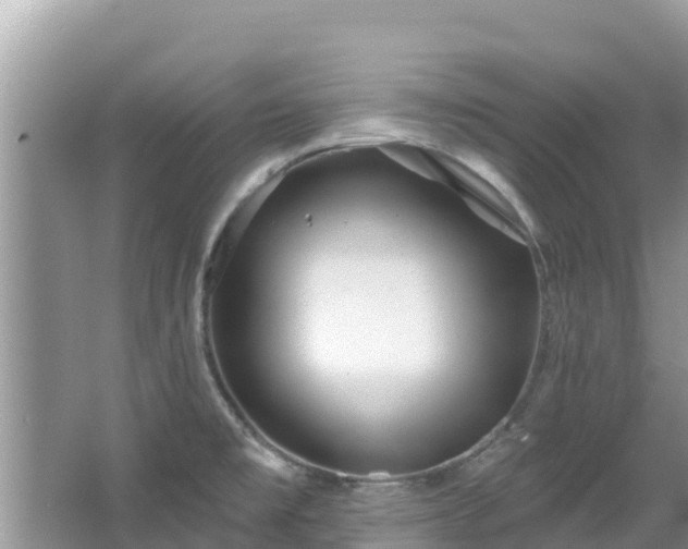 X0000067491477200604101242