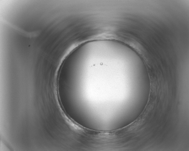 X0000067491478200604101242