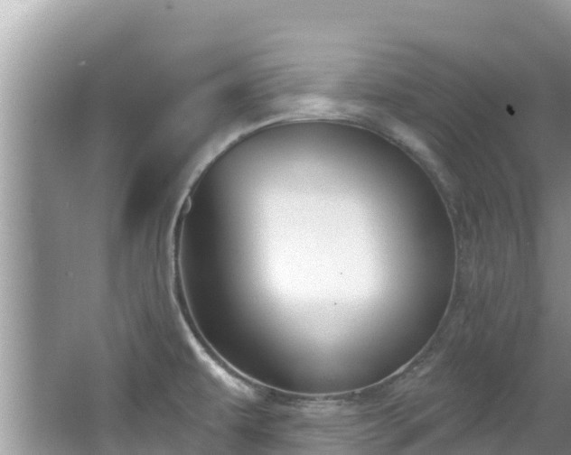 X0000067491479200604101242