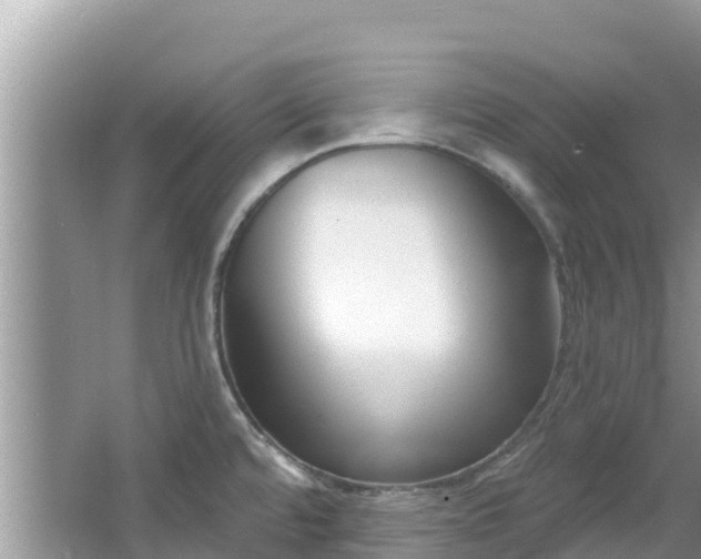 X0000067491480200604101242