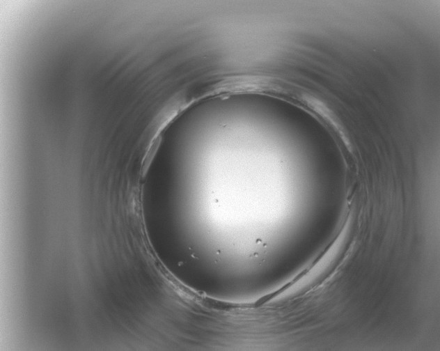 X0000067491481200604101242