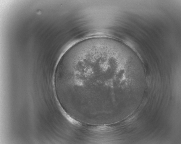 X0000067491482200604101242