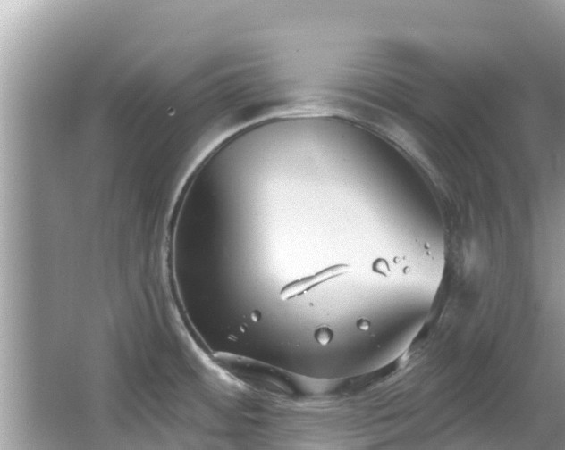 X0000067491484200604101242