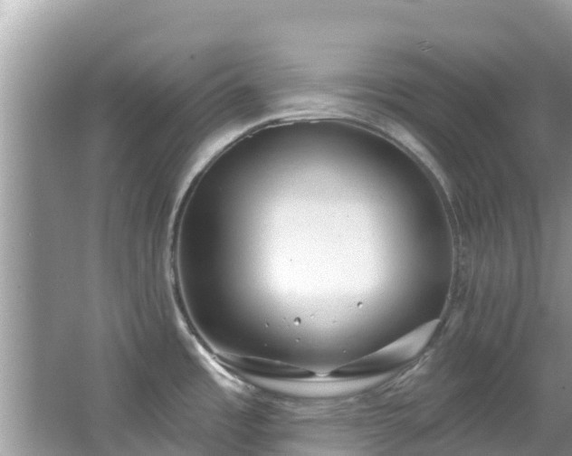 X0000067491485200604101242