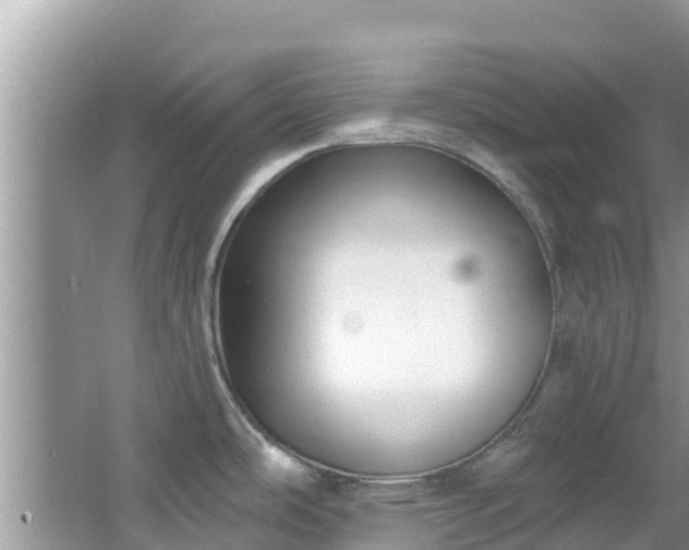 X0000067491486200604101242