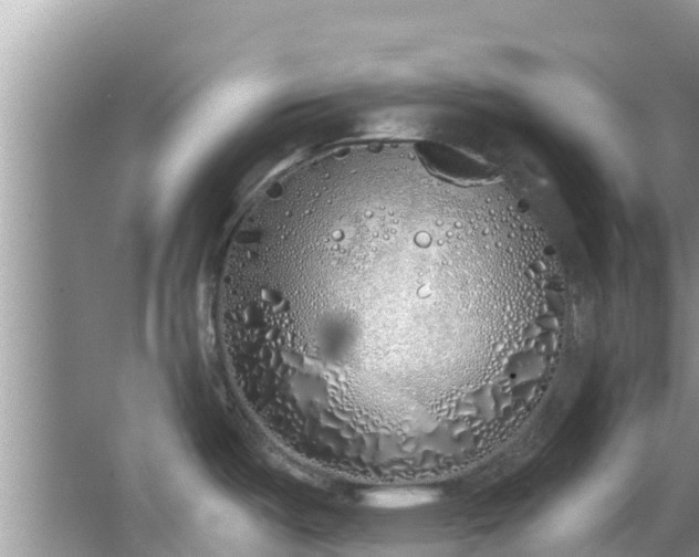 X0000067491487200604101242