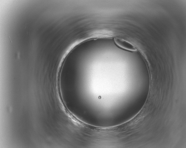 X0000067491488200604101242