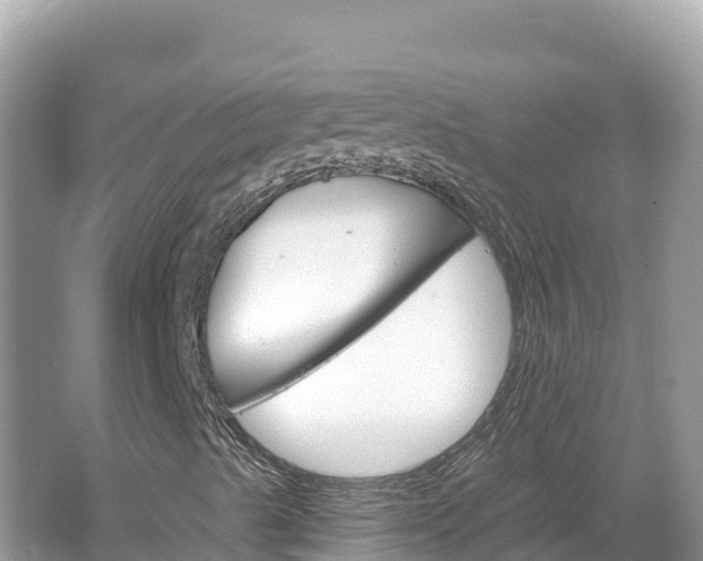 X0000067491489200604101241