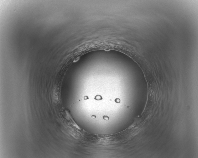 X0000067491490200604101241