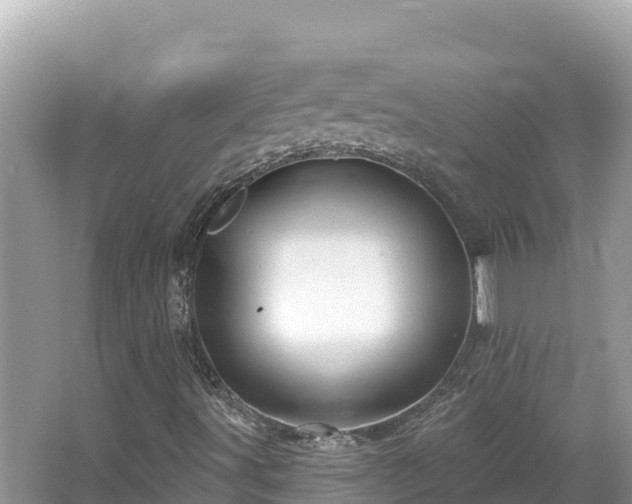 X0000067491491200604101241