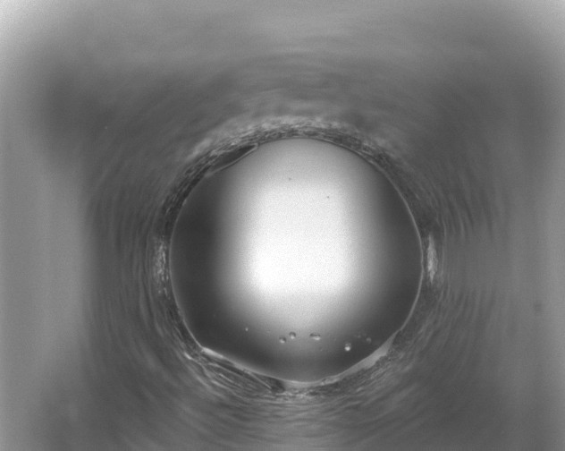 X0000067491492200604101241