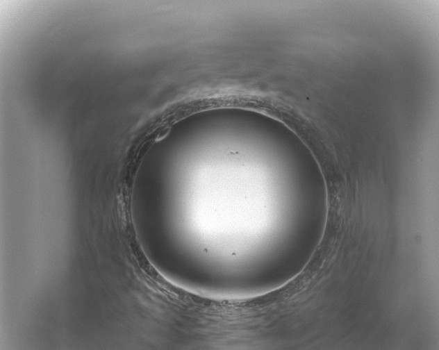 X0000067491493200604101241